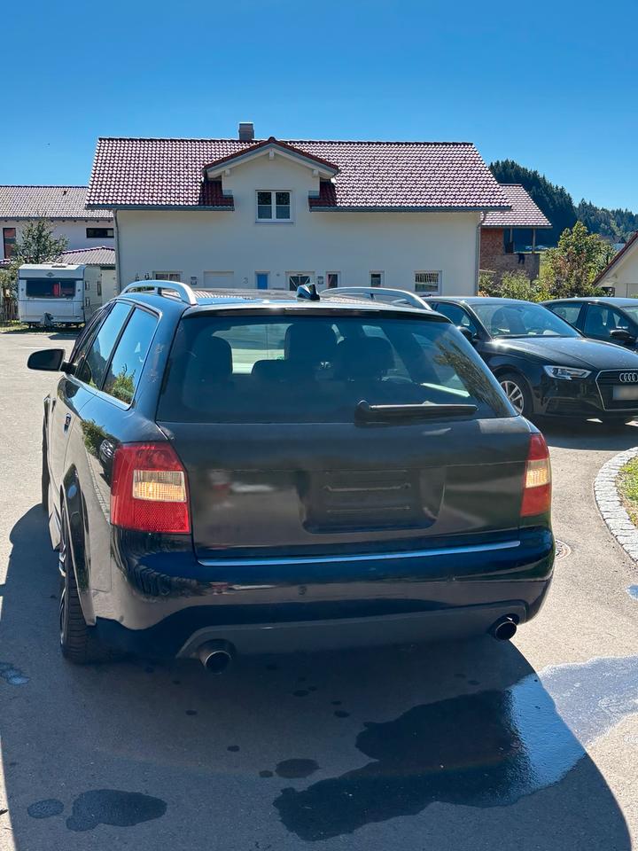 Audi S4 2005 — вигляд ззаду