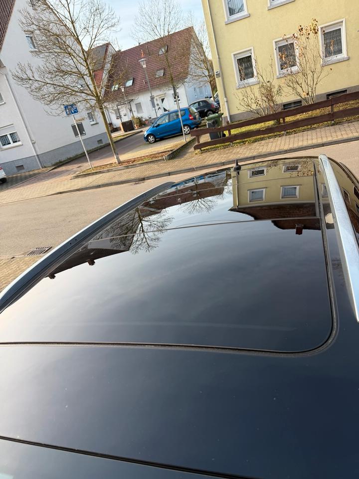 Audi Q7 2009 — photo 8