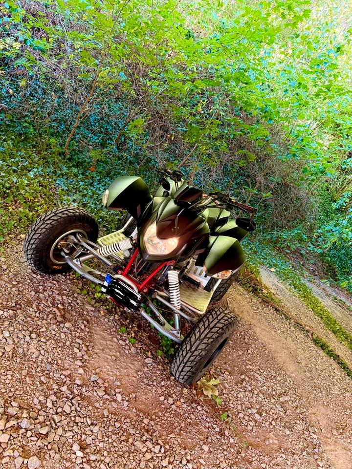 Weitere Motorräder Gelöscht • Triton Baja SP300-S 2009 — interior