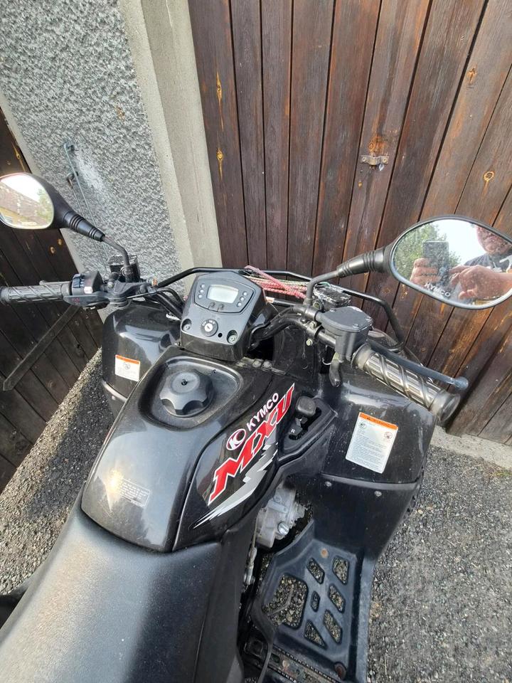 Kymco Quad. Kymco MXU 300. Kymco 2009 — photo 5