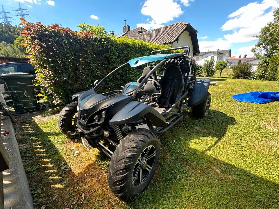 Weitere Motorräder Buggy 4x4 800cc mit Straßenzulassung, 2012