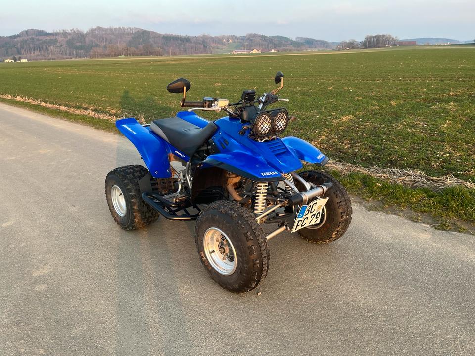 Yamaha Warrior 350 Quad 2004 — вигляд ззаду