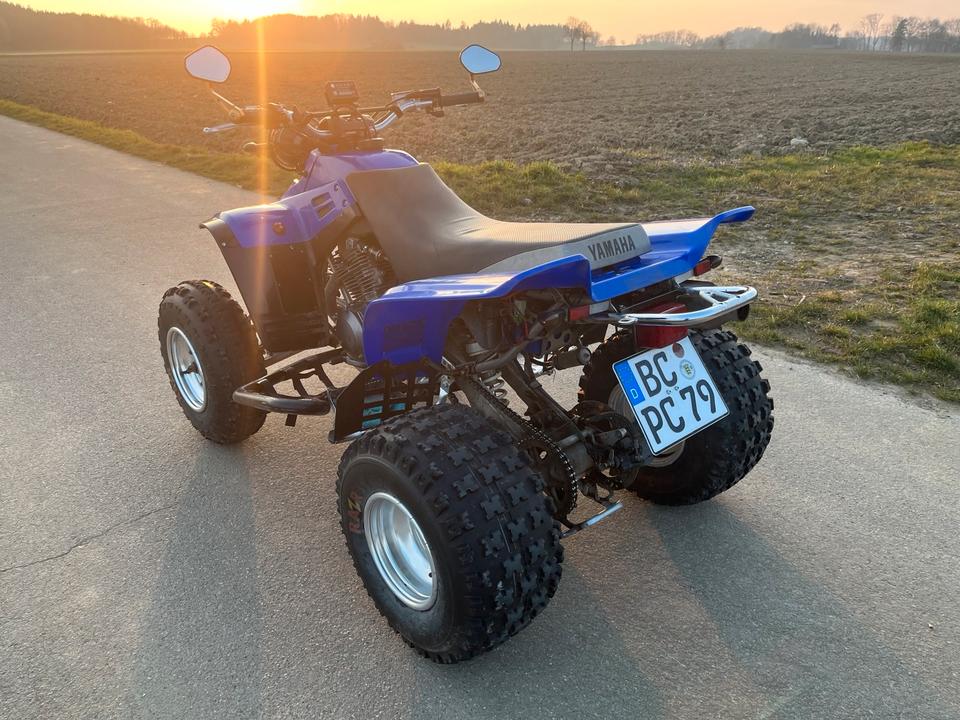 Yamaha Warrior 350 Quad 2004 — фото 6