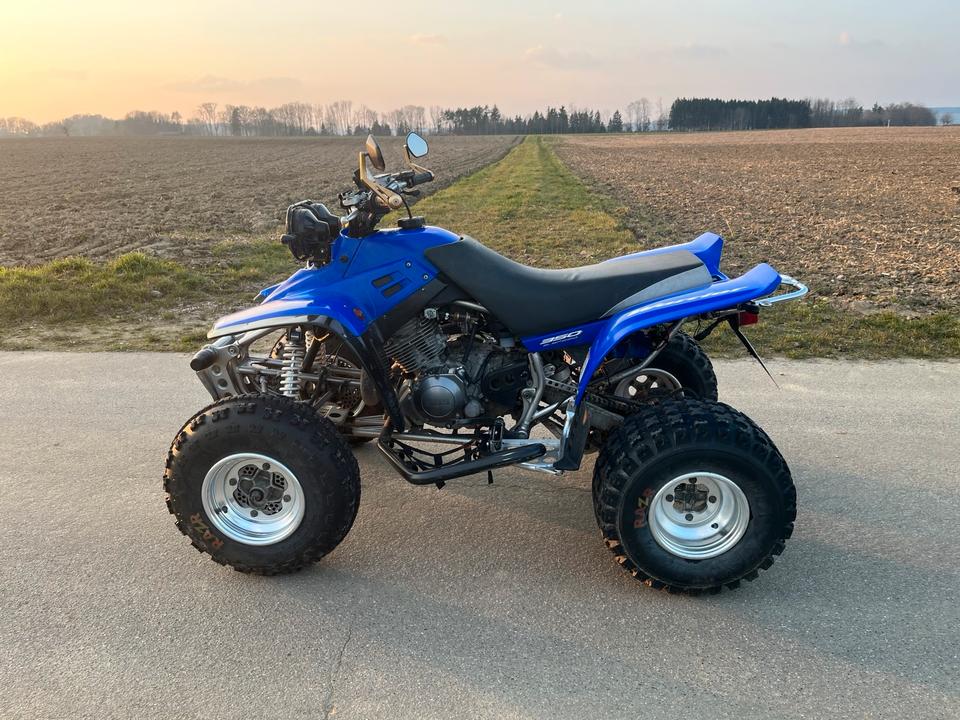 Yamaha Warrior 350 Quad 2004 — фото 8