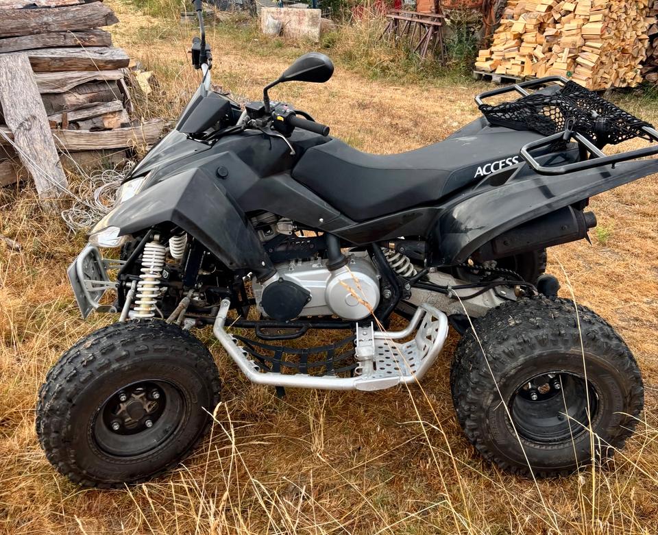  Quad Access Triton 300ccm 2014 — rear view