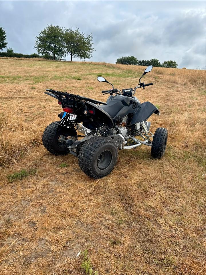  Quad Access Triton 300ccm 2014 — interior