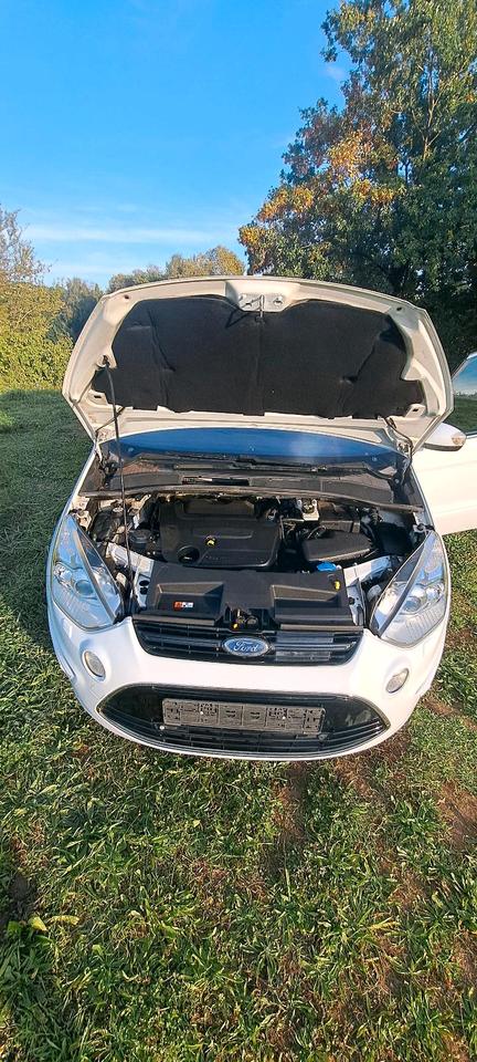 Ford S-Max 2013 — rear view
