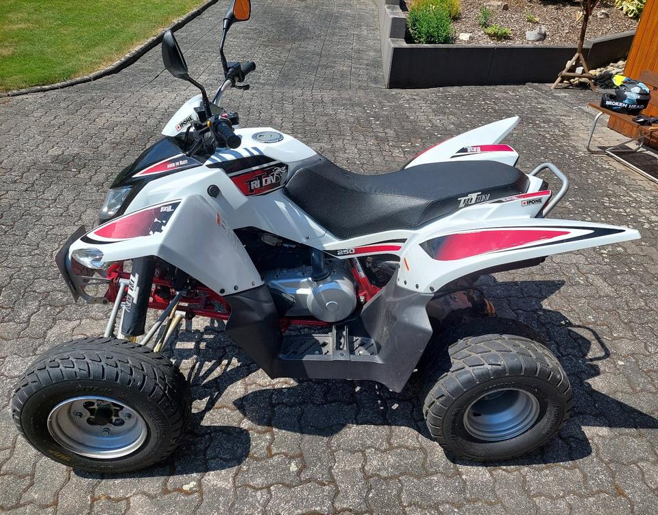Quad Triton Baja Access 250 2014 — vehicle for AFU Ukraine