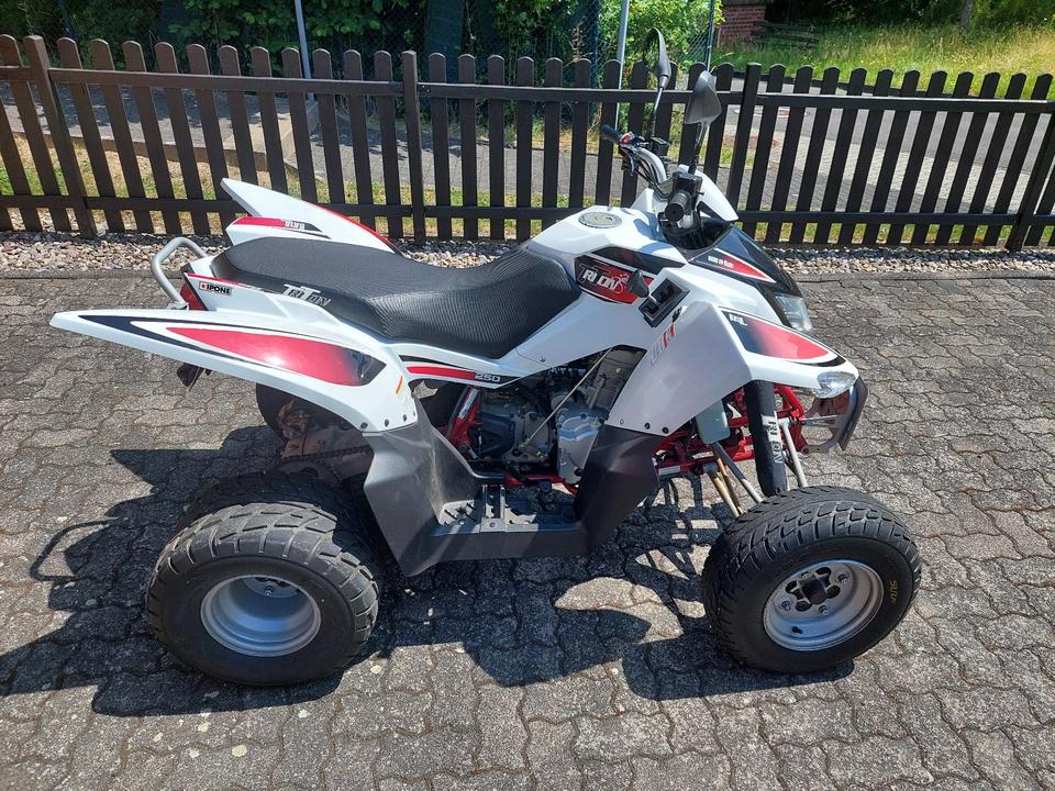  Quad Triton Baja Access 250 2014 — вигляд ззаду