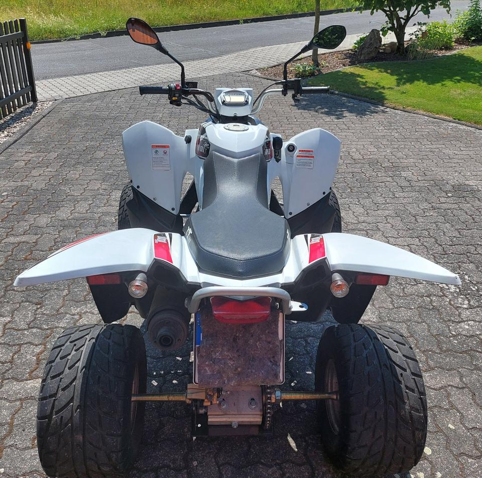  Quad Triton Baja Access 250 2014 — двигун 250 ccm