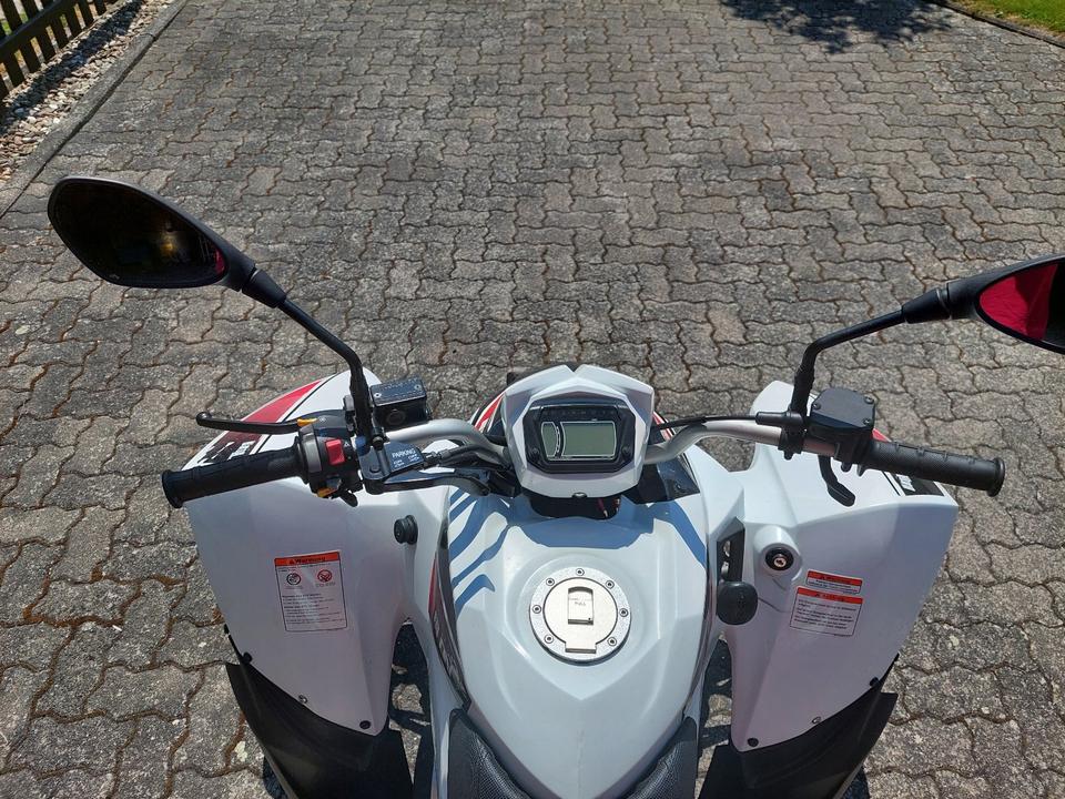  Quad Triton Baja Access 250 2014 — фото 5