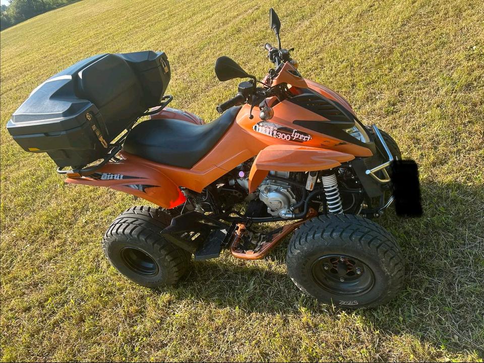 Weitere Motorräder Quad Automatik 2012 — rear view