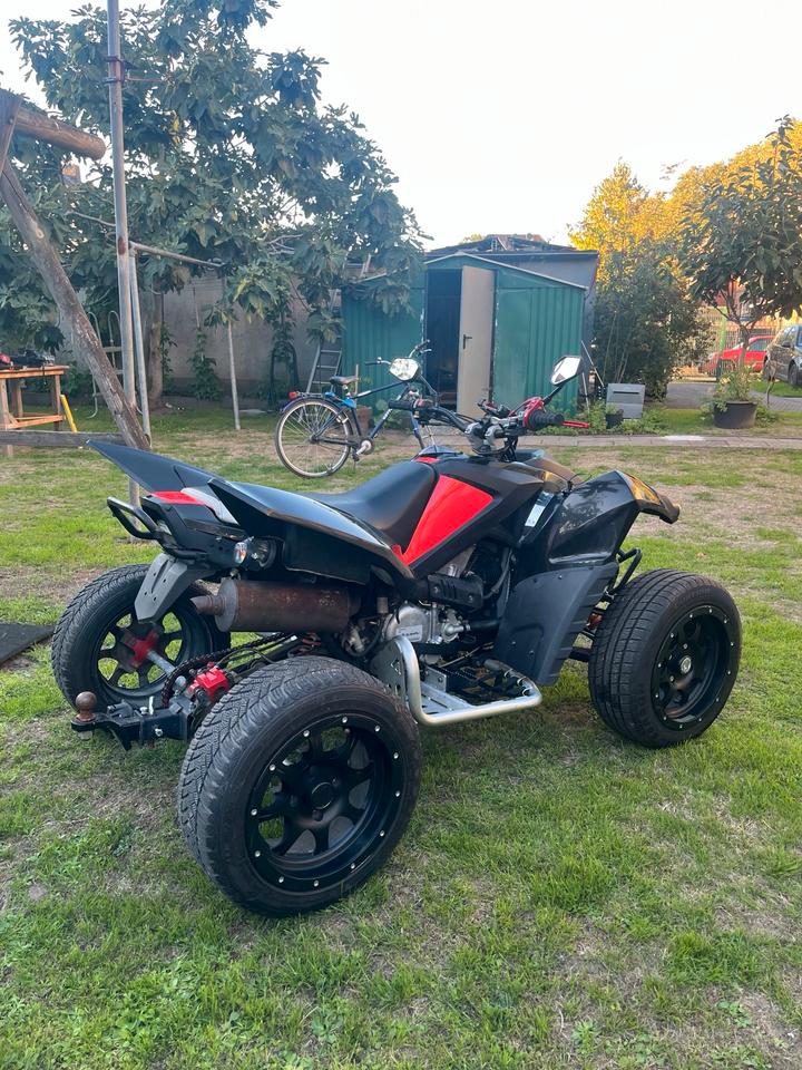  Gelöscht • Adly Hurricane 500 Flat - Subaru Motor - LOF Quad ATV 2010 — салон