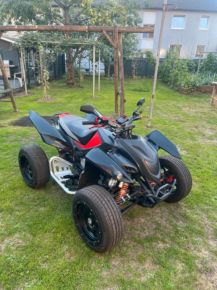  Gelöscht • Adly Hurricane 500 Flat - Subaru Motor - LOF Quad ATV 2010 — двигун 500 ccm