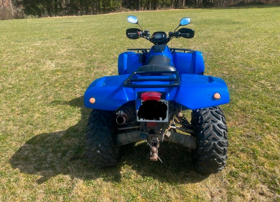  Quad Arctic CAT 4x4 LOF 2010 — rear view