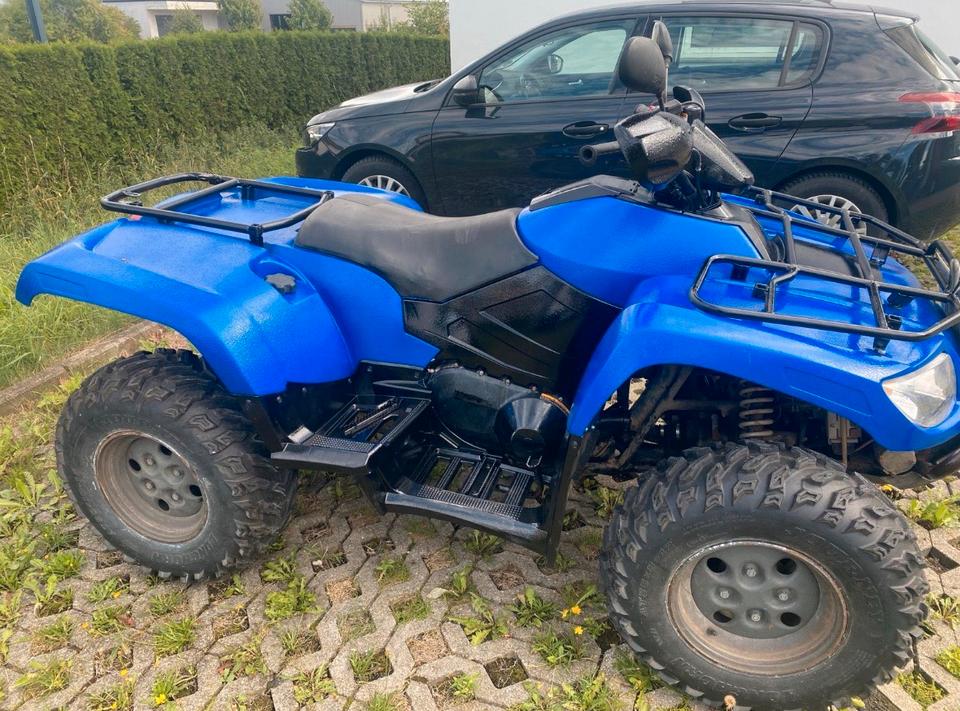  Quad Arctic CAT 4x4 LOF 2010 — interior