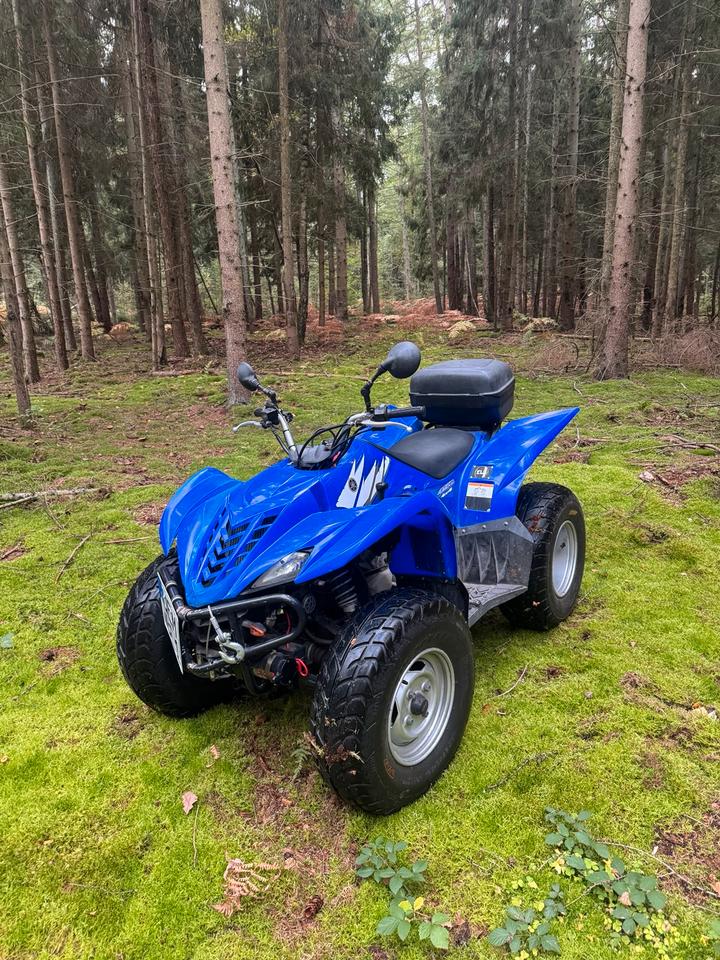 Yamaha YFM 450 FX WOLVERINE 4x4 Seilwinde LOF TÜV neu 2006 — vehicle for AFU Ukraine