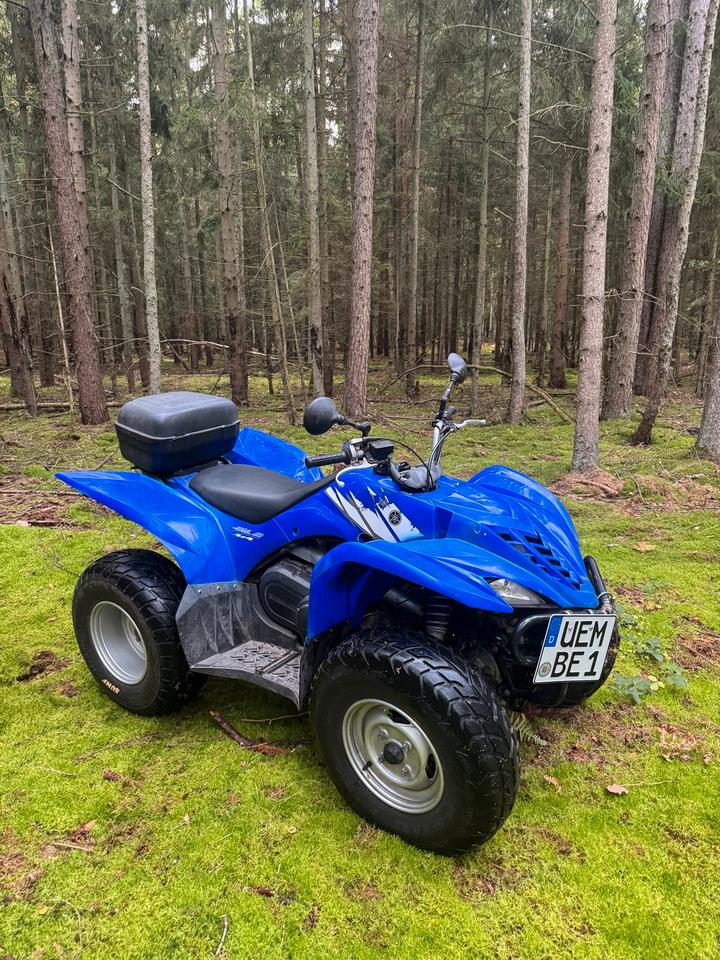 Yamaha YFM 450 FX WOLVERINE 4x4 Seilwinde LOF TÜV neu 2006 — rear view