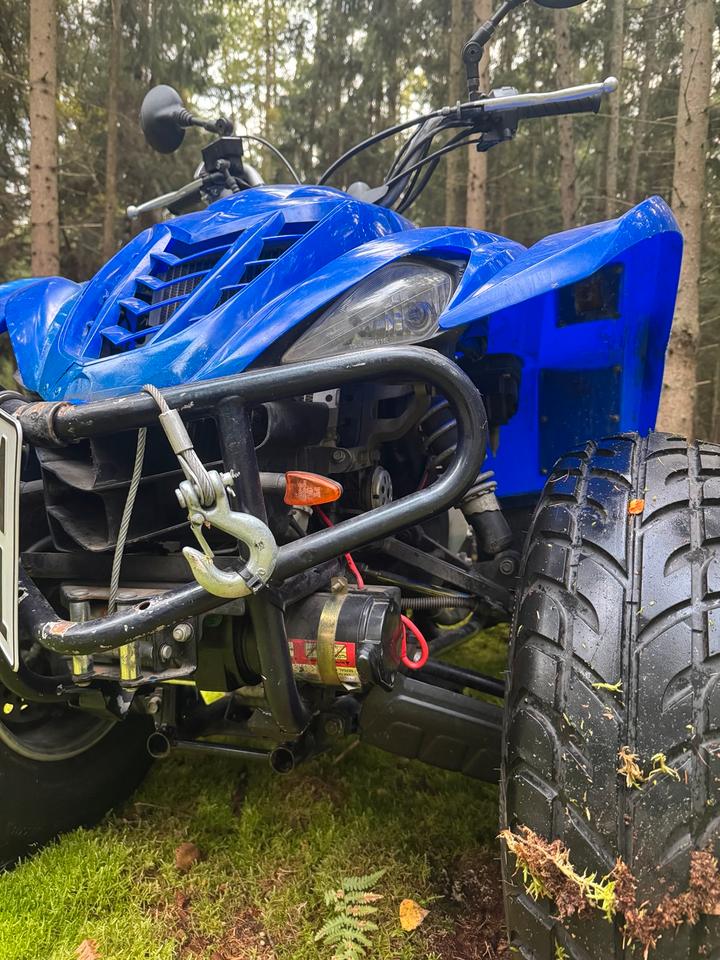 Yamaha YFM 450 FX WOLVERINE 4x4 Seilwinde LOF TÜV neu 2006 — interior