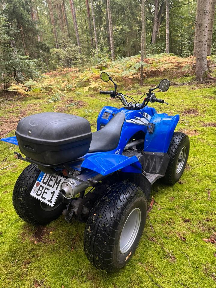 Yamaha YFM 450 FX WOLVERINE 4x4 Seilwinde LOF TÜV neu 2006 — photo 5