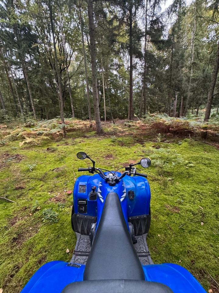 Yamaha YFM 450 FX WOLVERINE 4x4 Seilwinde LOF TÜV neu 2006 — photo 6