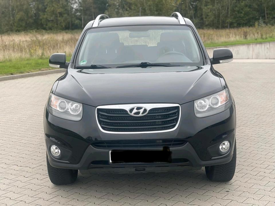 Hyundai Santa 2010 — interior