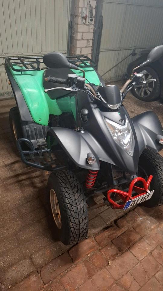 Kymco Quad kymco kxr 250 2009 — rear view