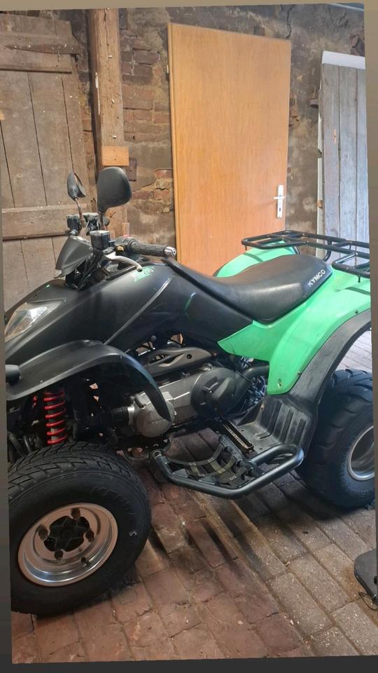 Kymco Quad kymco kxr 250 2009 — photo 5