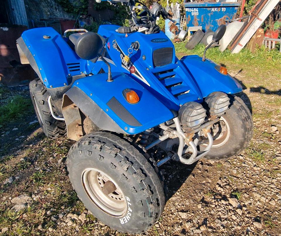 Weitere Motorräder Quad 50er 50ccm Straßenzulassung Automatik Zulassung Papiere 2010 — фото 12