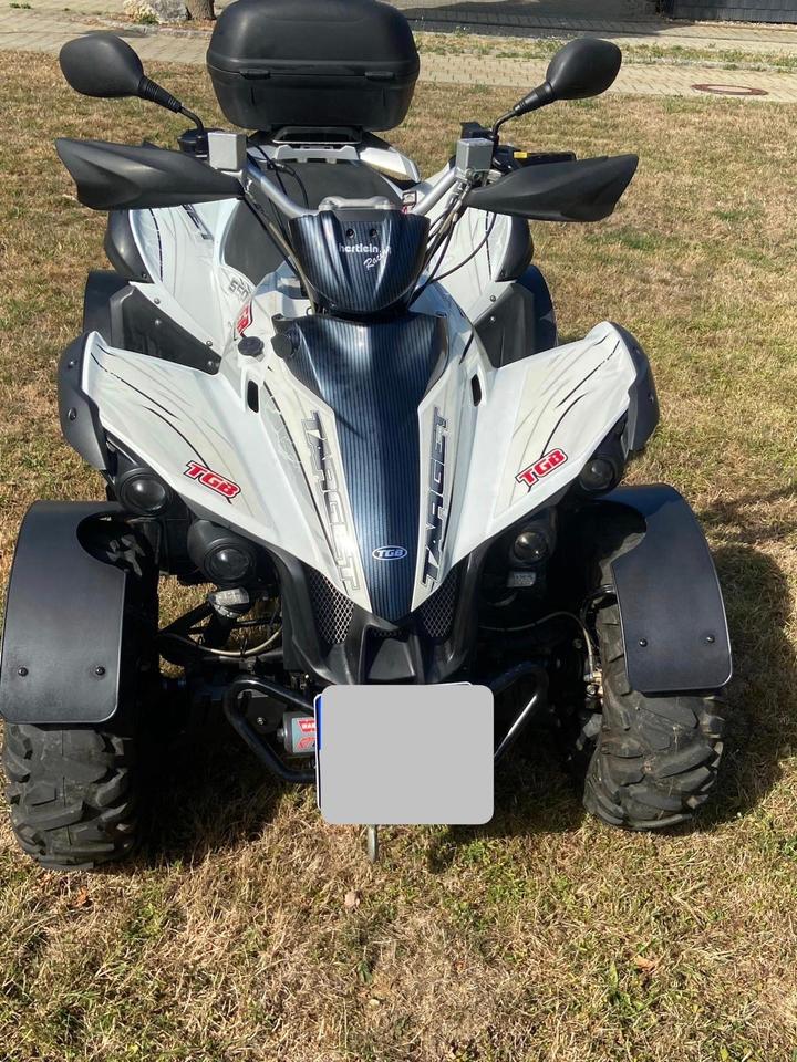 Weitere Motorräder Gelöscht • Quad TGB Target 550 2013 — rear view