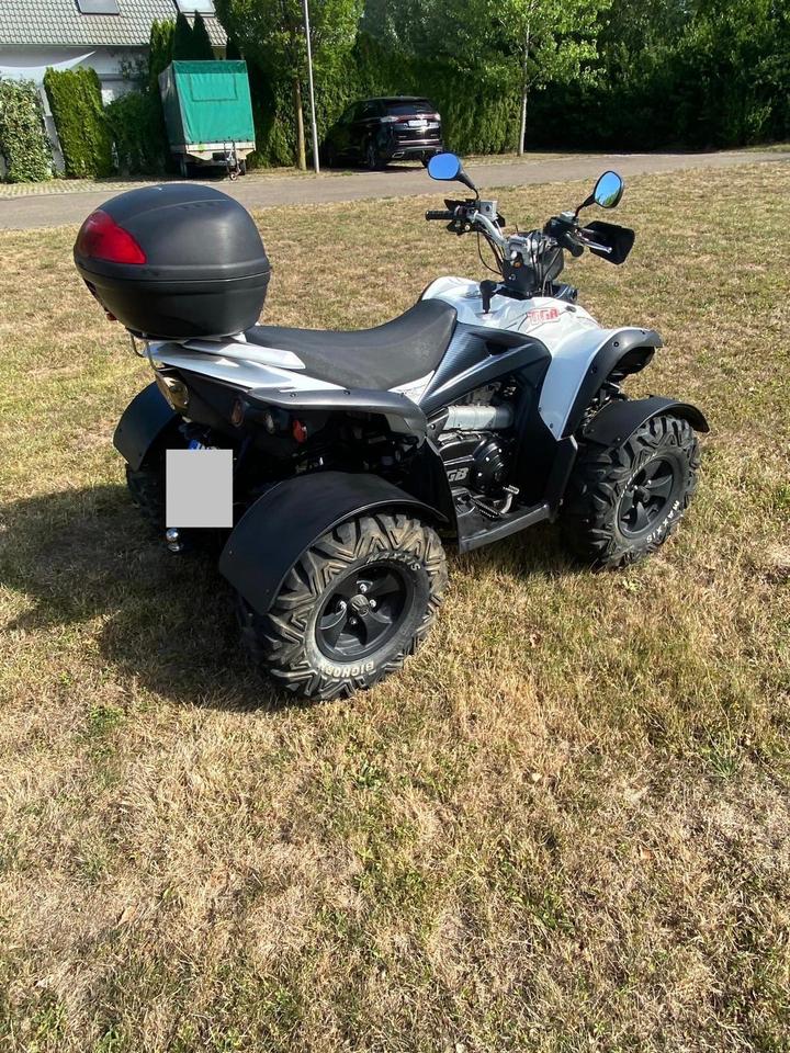 Weitere Motorräder Gelöscht • Quad TGB Target 550 2013 — engine 503 ccm