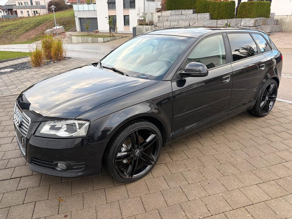 Audi A3 2009 — rear view