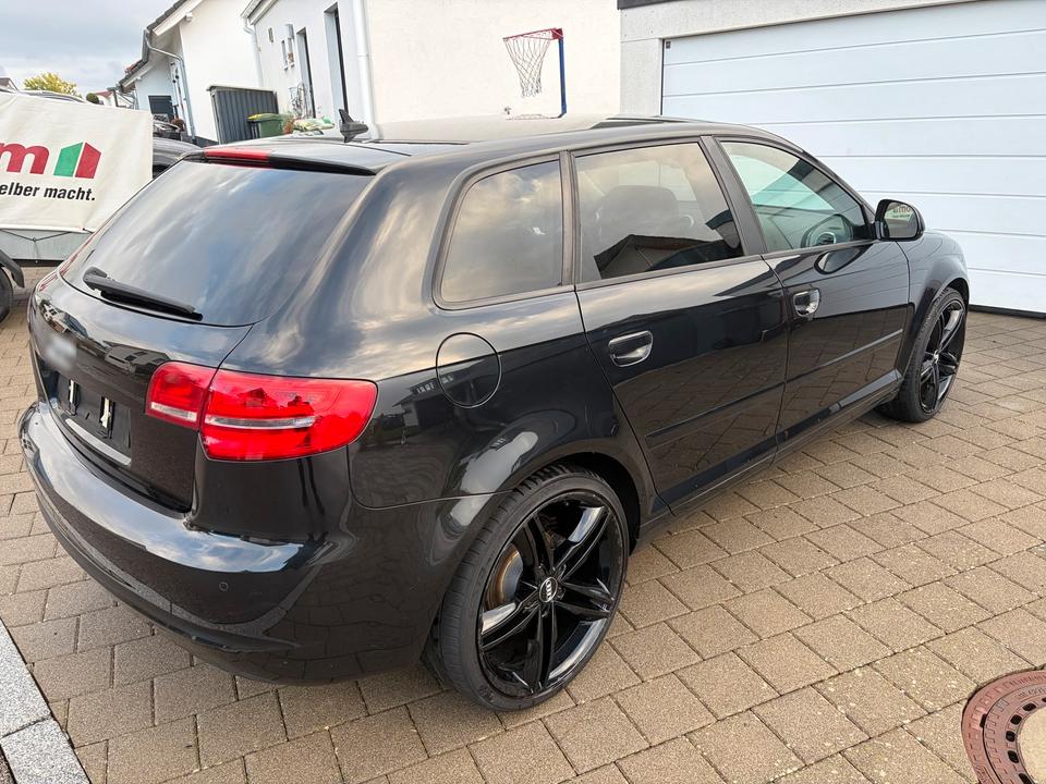 Audi A3 2009 — photo 5