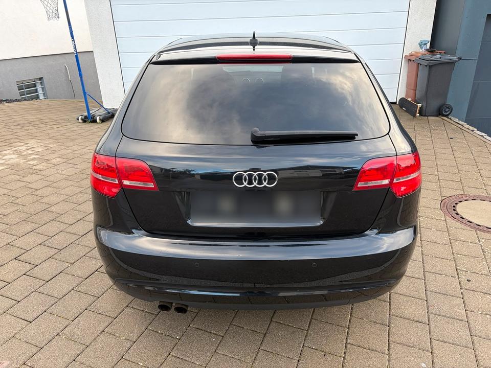 Audi A3 2009 — photo 6