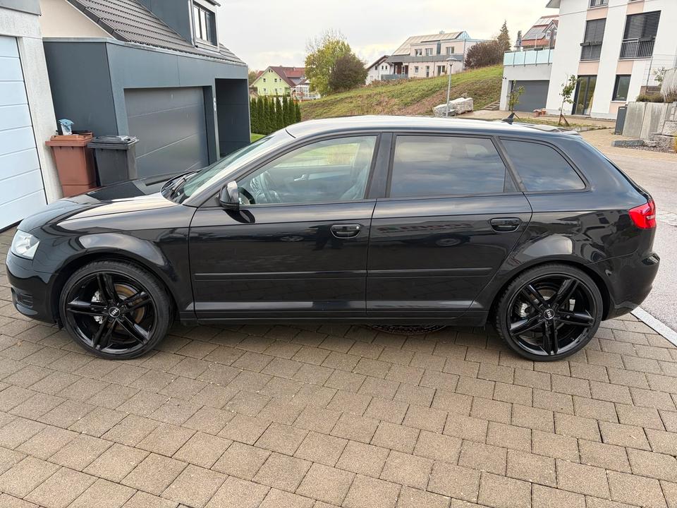 Audi A3 2009 — photo 8