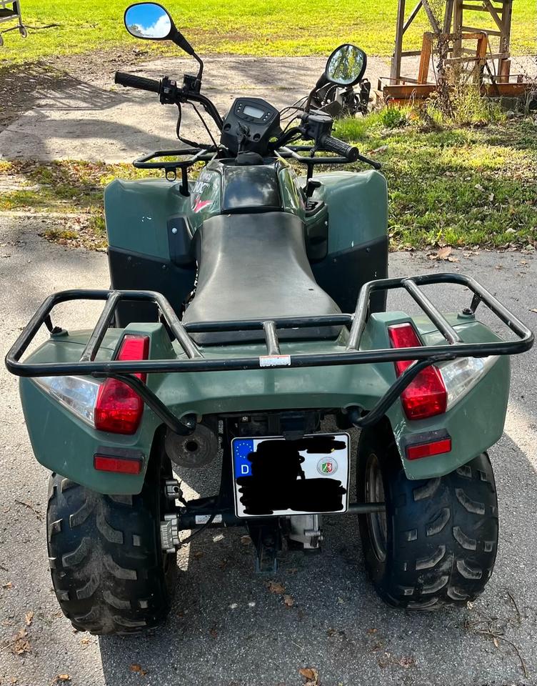 Kymco Mxu 300 Quad 2006 — rear view