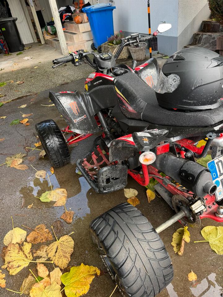  Aeon Cobra 400 Special Edition 2013 — engine 400 ccm