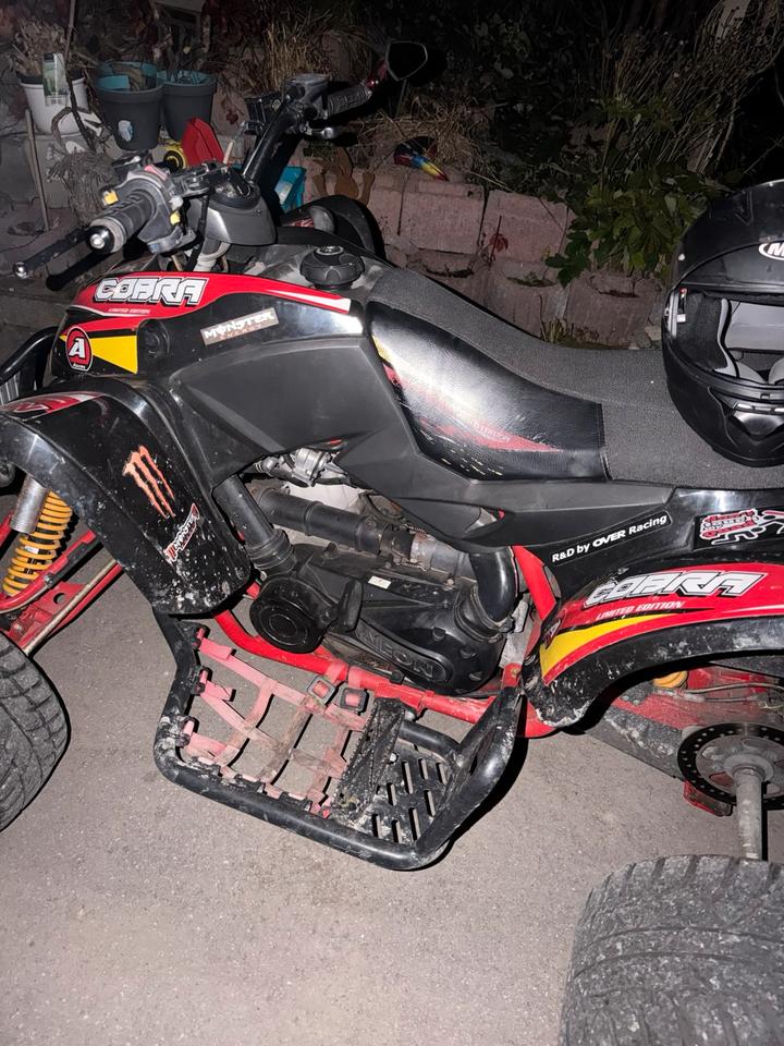  Aeon Cobra 400 Special Edition 2013 — photo 8