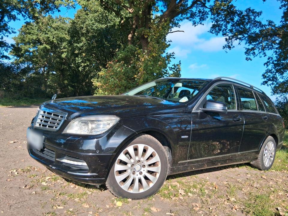 Mercedes Benz C 220 2011 — rear view
