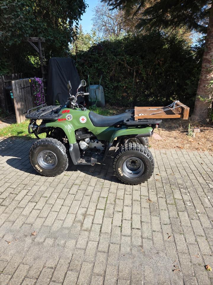 MZ REINMECH Quad Motortek MT 175 2004 — vehicle for AFU Ukraine