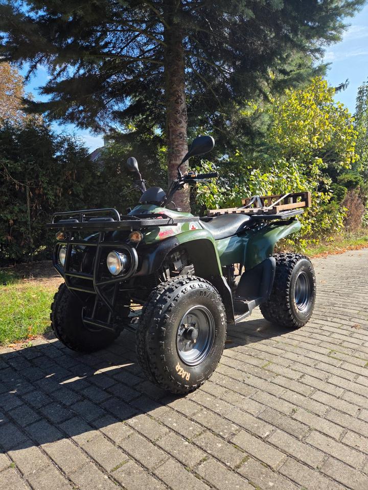 MZ REINMECH Quad Motortek MT 175 2004 — rear view
