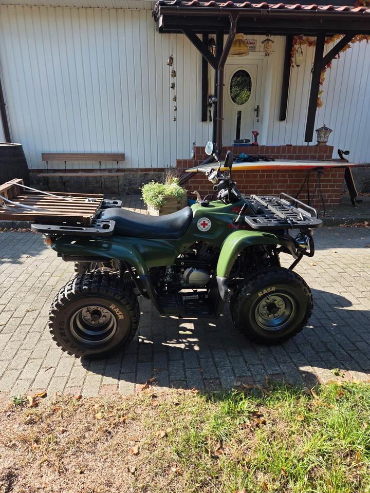 MZ REINMECH Quad Motortek MT 175 2004 — interior