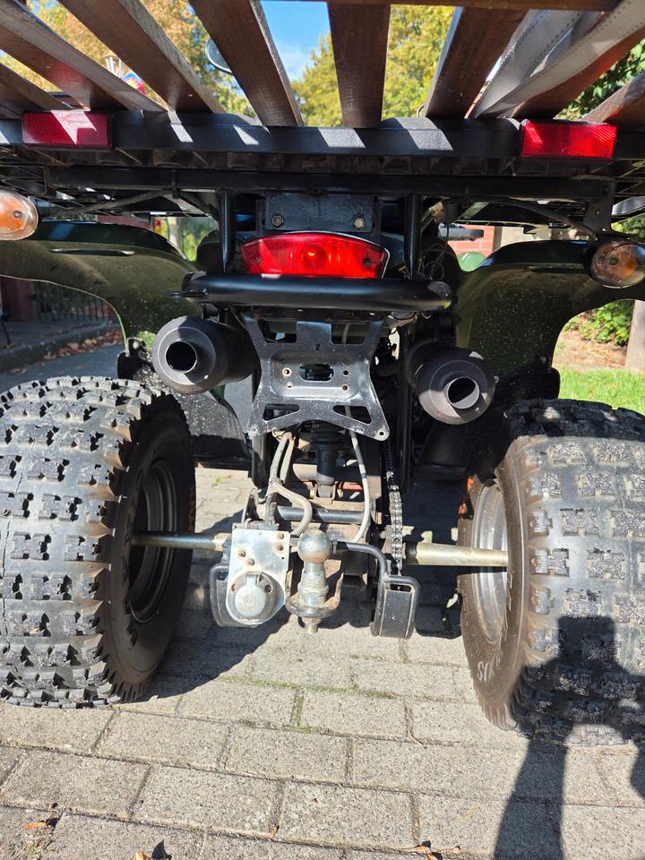 MZ REINMECH Quad Motortek MT 175 2004 — engine 175 ccm