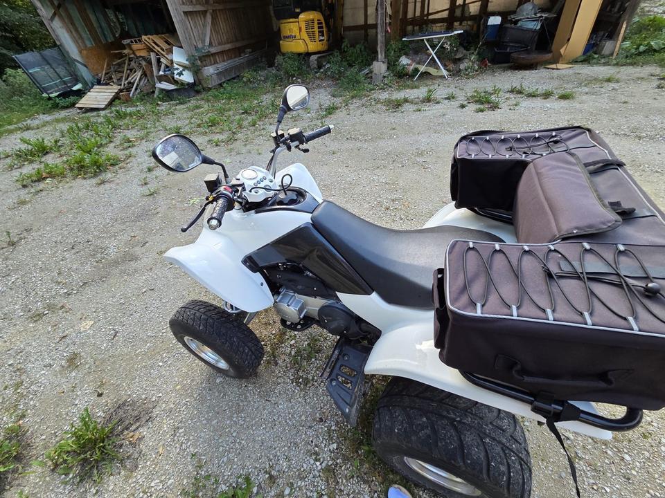 Kymco Maxxer 250 Quad zu verkaufen 2015 — interior