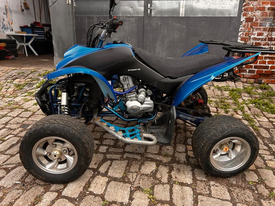  Shineray STXE 250 – 250 ccm – TÜV neu – ~9000 km 2010 — rear view