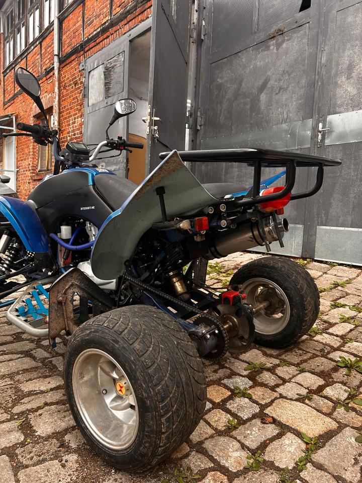  Shineray STXE 250 – 250 ccm – TÜV neu – ~9000 km 2010 — interior