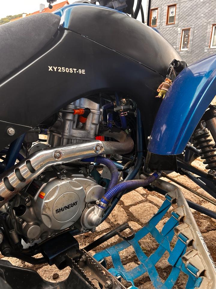  Shineray STXE 250 – 250 ccm – TÜV neu – ~9000 km 2010 — photo 8