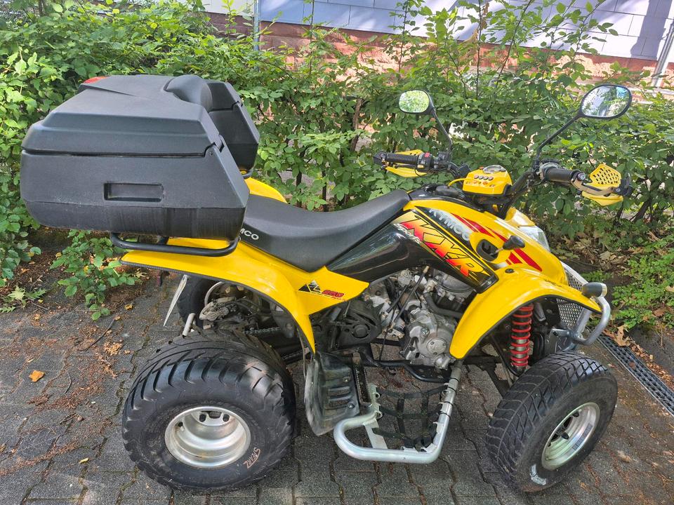 Kymco KXR 250 Quad 2004 — rear view