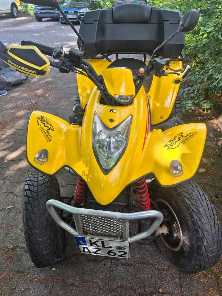 Kymco KXR 250 Quad 2004 — interior