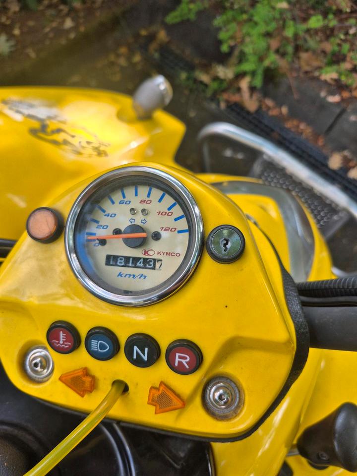 Kymco KXR 250 Quad 2004 — engine 250 ccm
